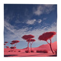 Stone Pine 01 Rich Berry Pocket Square