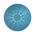 Mycelium 01 Deep Sky Display Bowl
